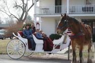 Carriage rides at Country Colonial